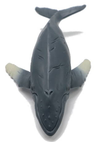CollectA Humpback Whale Calf - Top View