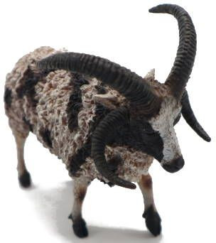 CollectA Jacob Sheep - Front Angle View