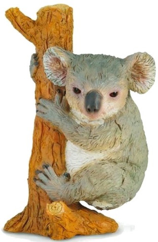 CollectA Koala Bear Climbing - Manufacturer Picture