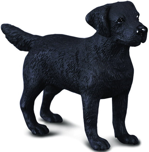 CollectA Black Labrador Retriever Figure - Manufacturer Picture
