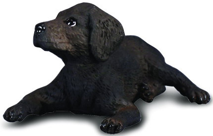 CollectA Black Labrador Retriever Figure Lying Down - Manufacture Picture
