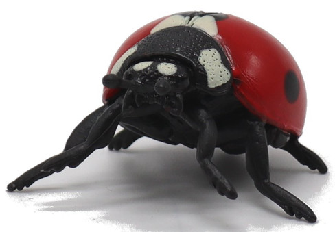 CollectA Ladybug - Manufacturer Picture