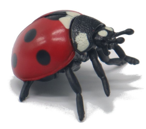 CollectA Ladybug - Side Angle View
