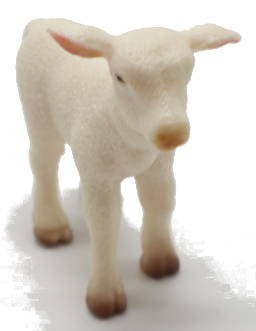 CollectA - Cute Woolly Lamb - Top View