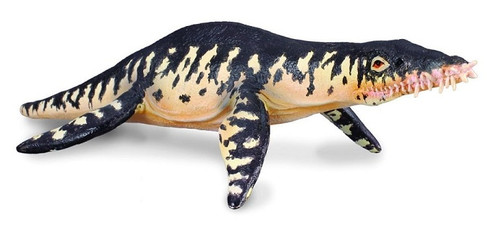 CollectA Liopleurodon Prehistoric Figure
