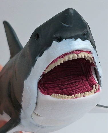 CollectA Megalodon with Moveable Jaw - Close Up Face View