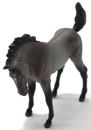 CollectA Grulla Mustang Foal - Front Angle View