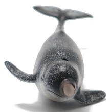 CollectA Narwhal Figure - Front View