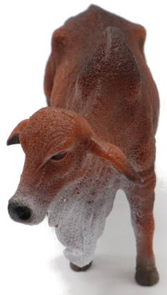 CollectA Red Brahman Bull - Front View