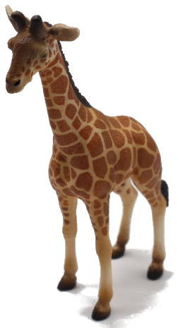 CollectA Reticulated Giraffe Calf - Front Angle View