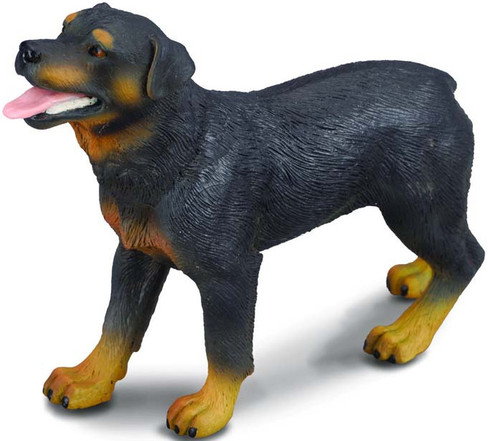 CollectA Rottweiler Dog Figure - Manufacturer Picture