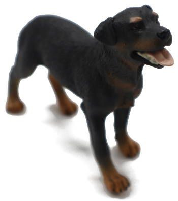 CollectA Rottweiler Dog Figure - Angle View
