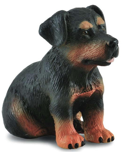 CollectA Rottweiler Puppy