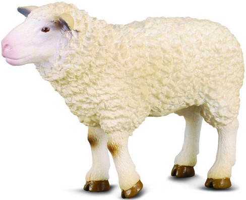 CollectA Woolly Sheep - Manufacturer Picture