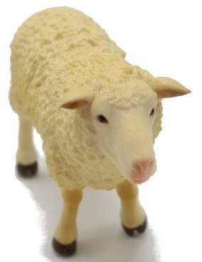 CollectA Woolly Sheep - Top View