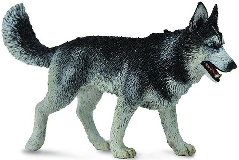 CollectA Siberian Husky Dog - Manufacturer Picture