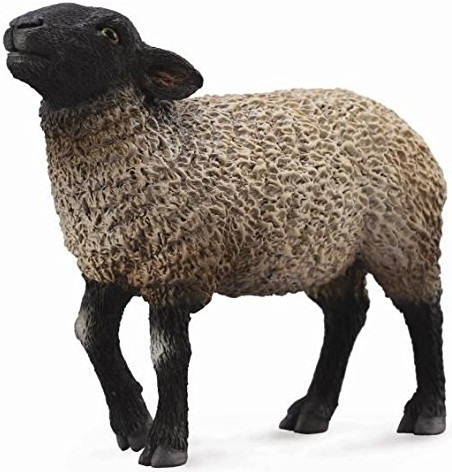 CollectA Suffolk Sheep - Manufacturer Picture
