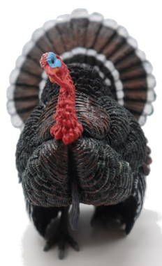 CollectA Bronze Turkey - Front View