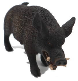CollectA Wild Boar - Front Angle View