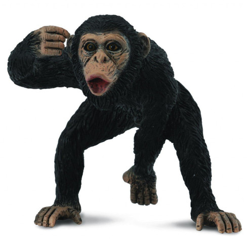 CollectA Chimpanzee Male #88492 Manufacturer Picture front View