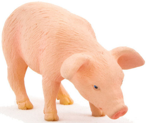 Mojo Piglet - Feeding