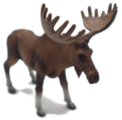 Mojo Moose Bull - Front Angle View