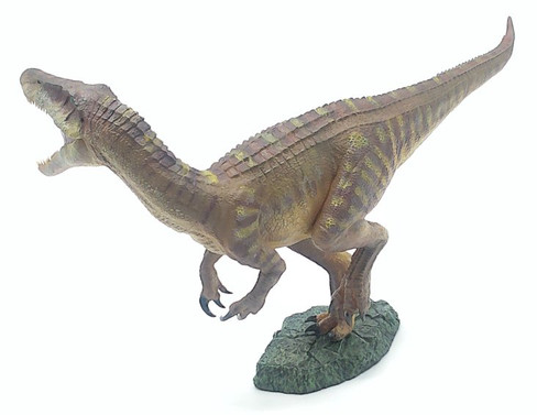 Nanmu Baryonyx - Calypso - Front Angle View