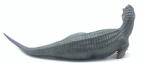 Nanmu Baryonyx - Santiago - Back View
