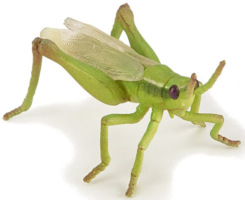 Papo Grasshopper Figure - Manufacturer Picture
