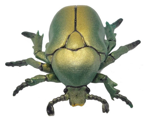 Papo European Rose Chafer Beetle - Top View