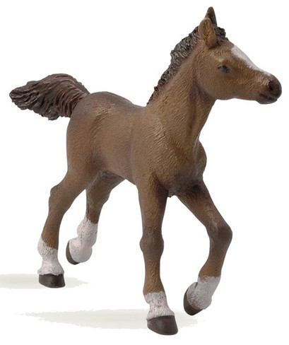 Papo Anglo-Arab Foal