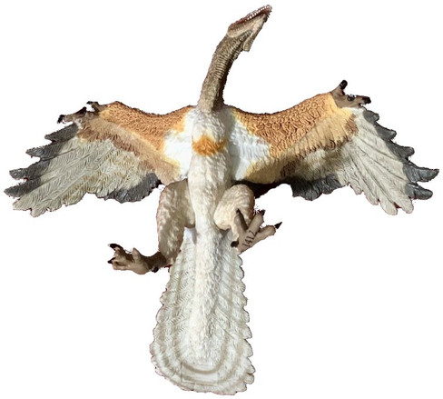 Papo Archaeopteryx - Belly View
