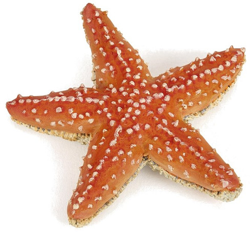 Papo Starfish - Bright and Vibrant Orange and Yellow Colors