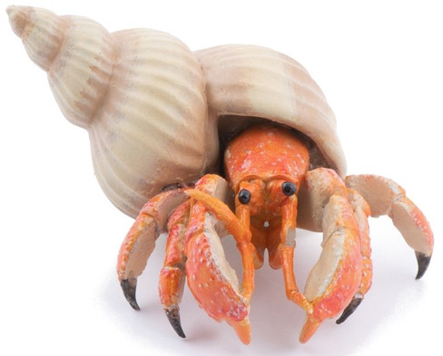 Papo Hermit Crab in Shell - Manufacture Picture