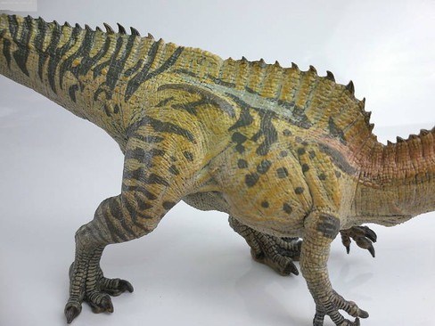 Papo Acrocanthosaurus - Skin Close Up