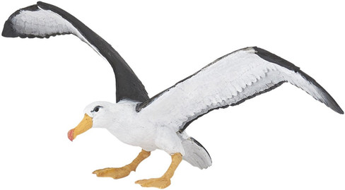 Papo Albatross with Huge Wingspan
