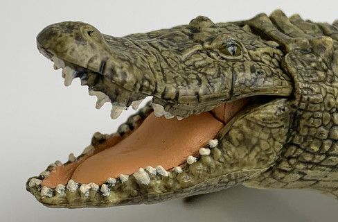 Papo Alligator - Open Mouth View