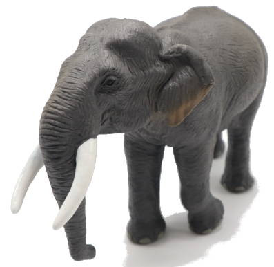 Papo Asian Elephant - Front Angle View