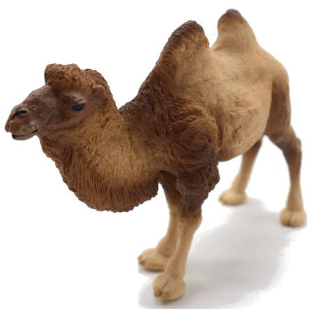 Papo Bactrian Camel - Front Angle View