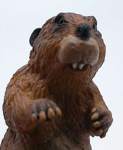 Papo Beaver in Cute Hunched Pose - Face View