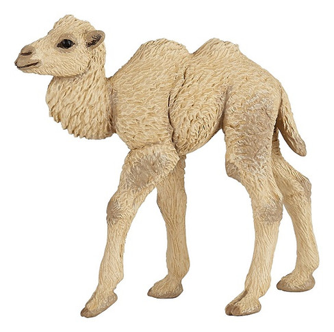 Papo Camel Calf - Manufacturer Picture