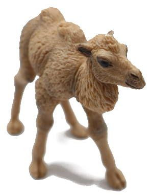 Papo Camel Calf - Front Angle View