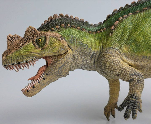 Papo Ceratosaurus - Head Close Up View