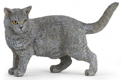 Papo Chartreux Cat - Beautiful Grey Coat with Vibrant Gold Eyes