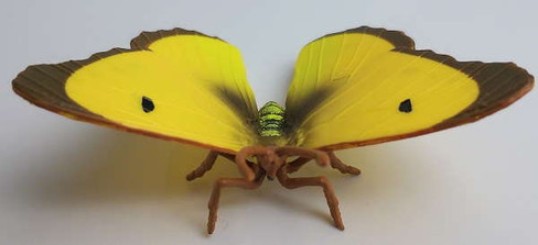 Papo Clouded Yellow Butterfly - Front View