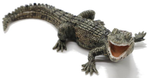 Papo Baby Crocodile  - Front Angle View