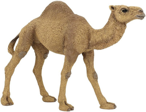 Papo Dromedary Camel - Manufacturer Picture