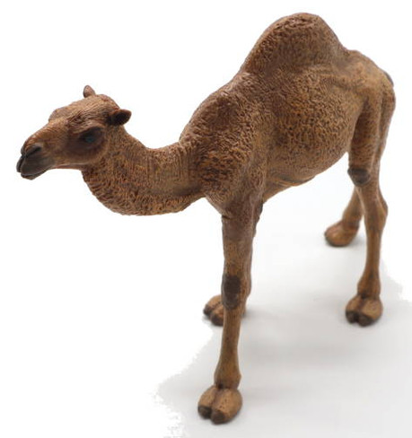 Papo Dromedary Camel - Front Angle View