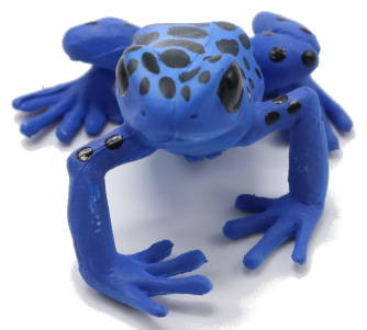 Papo Blue Equatorial Frog - Front View
