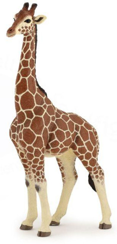 Papo Male Giraffe - Manufacturer Picture